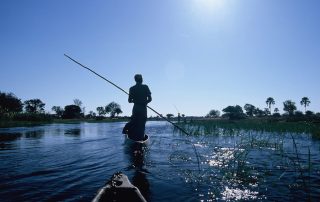 okavango guiding