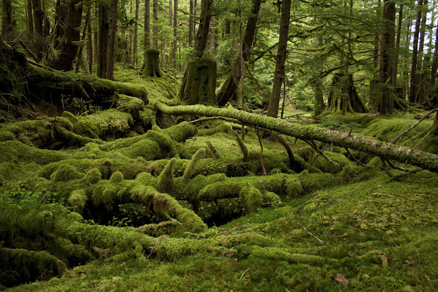 GwaiiHaanas