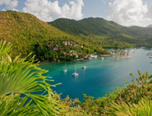 Más allá de los estereotipos: cómo los destinos pueden dar forma a una experiencia de crucero más sostenible｜Mayo 20