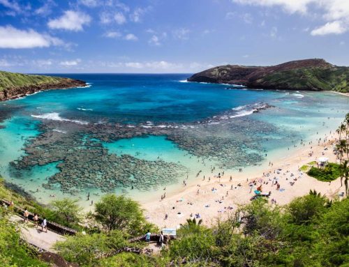 How Marine Protected Areas Address Overtourism