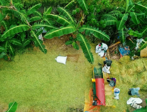 Filipino Farmers Help Solve Undertourism