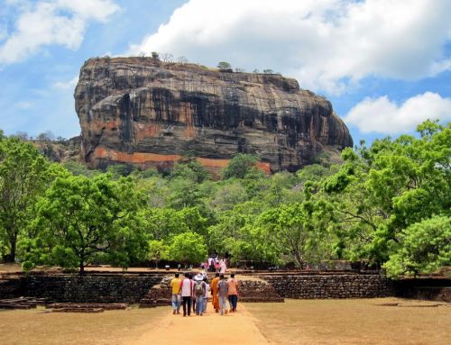 Famed Sri Lanka Site Goes Green