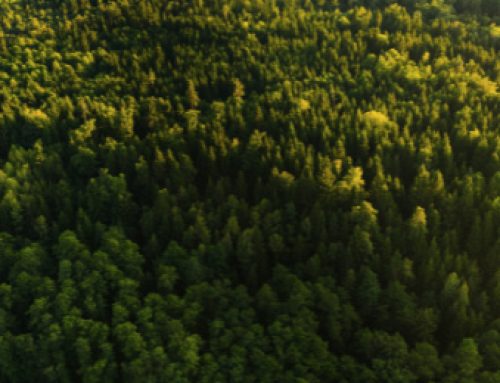 EmpCo Directive (EU) 2024/825: What Tourism Sector Actors Need to Know – Special 90mins GSTC Webinar｜May 12th