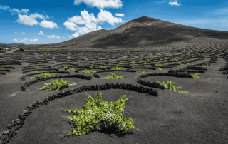 Epicentro Lanzarote