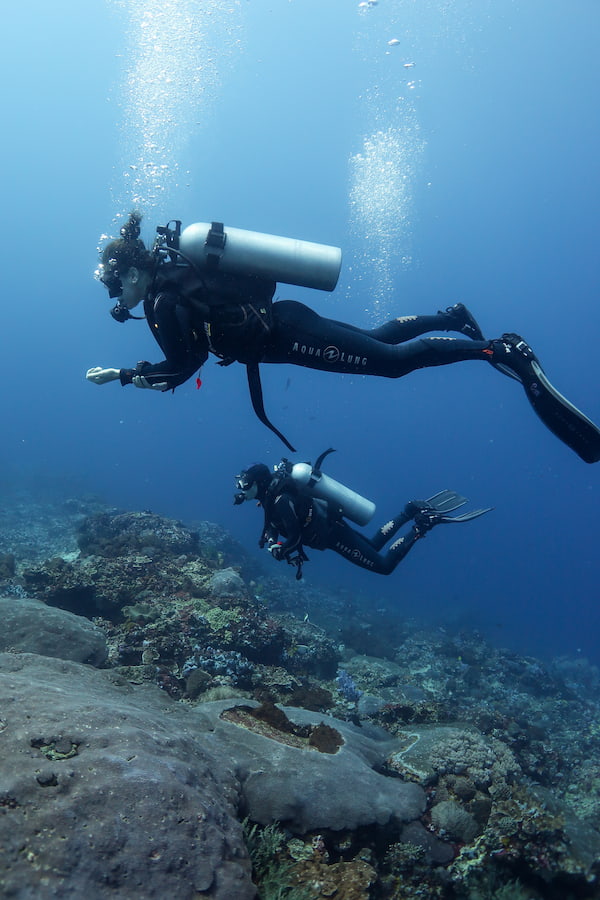 The Reef-World Foundation Impact Report 2024-2025 