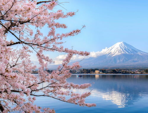 The GSTC Hotel Standard and GSTC Tour Operator Standard – Now Available in Japanese