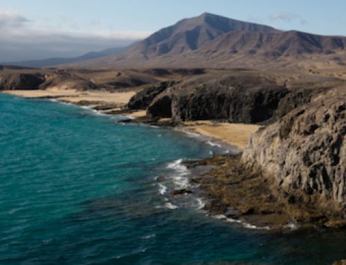 Lanzarote: un Destino Turístico Fruto del Esfuerzo Compartido | Julio 9th, 2025
