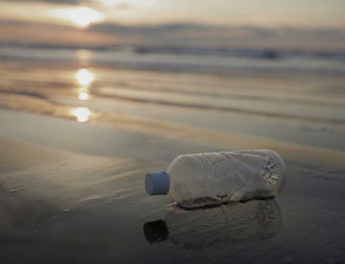 Reducing Single Use Plastics in Pacific Tourism: A Regional Approach to Sustainability | June 17th, 2025