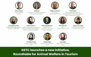 GSTC Launches New Initiative: Roundtable for Animal Welfare in Tourism