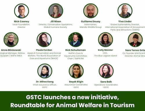GSTC Launches New Initiative: Roundtable for Animal Welfare in Tourism