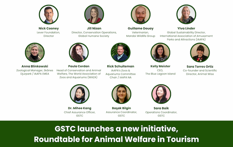 GSTC Launches New Initiative: Roundtable for Animal Welfare in Tourism 
