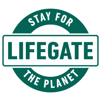Stay for the Planet