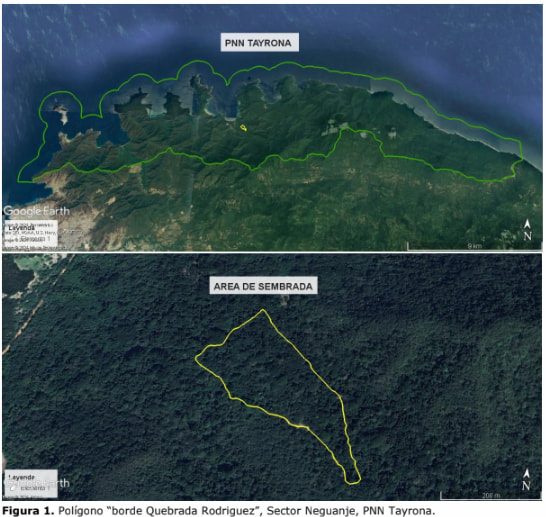 Environmental Restoration at Tayrona’s National Park