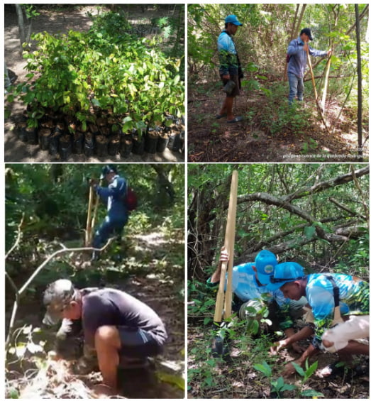 Environmental Restoration at Tayrona’s National Park