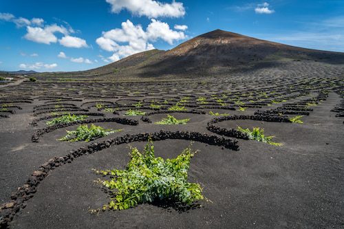 Turismo Lanzarote
