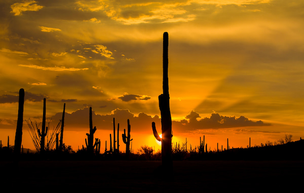 Visit Tucson