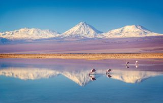 The Best Destinations for Sustainable Travel by Vogue.com