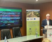 Luigi Cabrini GSTC Chair